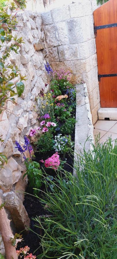 Apartments Viva Korčula Екстериор снимка